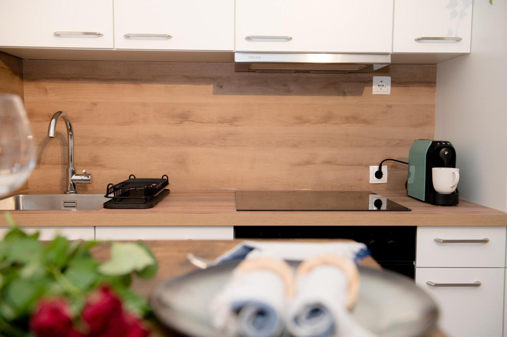 Entire Tulum Apartment, In The Center Of Viena Exterior foto